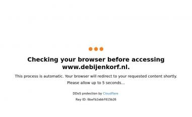 Schermafbeelding van debijenkorf.nl