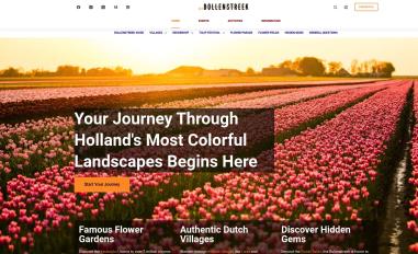 Schermafbeelding van debollenstreek.com