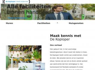 Schermafbeelding van dekoploper.com