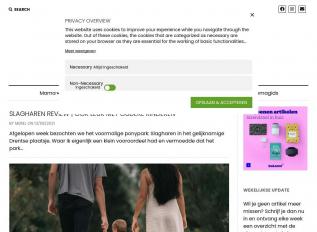 Schermafbeelding van demamagids.nl