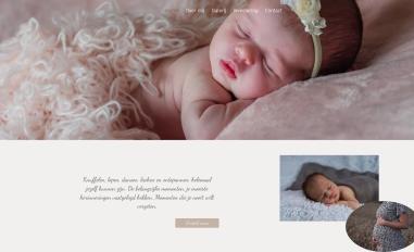 Schermafbeelding van demuijnckfotografie.nl