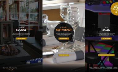 Schermafbeelding van denachtegaal.com