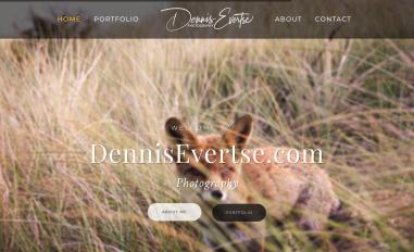 Schermafbeelding van dennisevertse.com