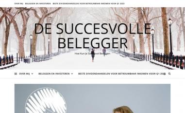 Schermafbeelding van desuccesvollebelegger.nl