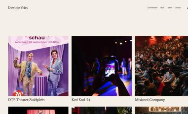 Schermafbeelding van dewidevries.com