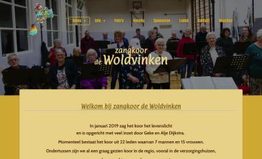 Schermafbeelding van dewoldvinken.nl