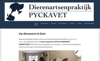 Schermafbeelding van dierenartspyckavet.be