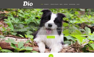 Schermafbeelding van diodrunen.nl