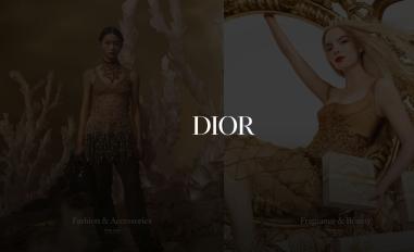 Schermafbeelding van dior.com