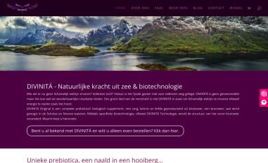 Schermafbeelding van divinita-we.com
