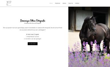 Schermafbeelding van dominiquefelinefotografie.nl