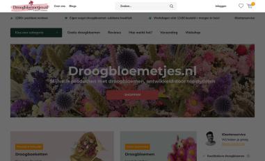 Schermafbeelding van droogbloemetjes.nl
