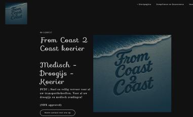 Schermafbeelding van droogijskoerierutrechtsdxbv.godaddysites.com