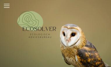 Schermafbeelding van ecosolver.nl