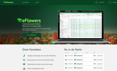 Schermafbeelding van eflowers.nl