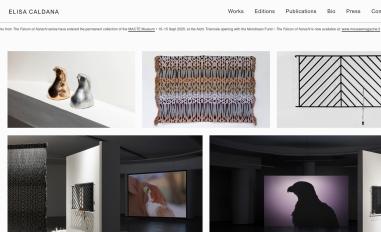 Schermafbeelding van elisacaldana.info