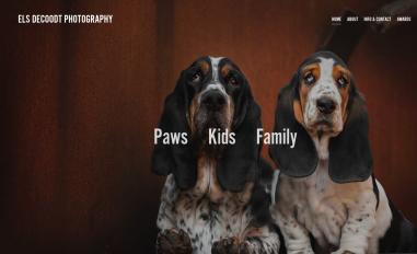 Schermafbeelding van elsdecoodtphotography.com