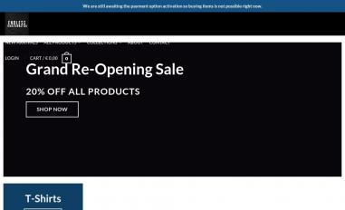 Schermafbeelding van endlesstransformation.shop