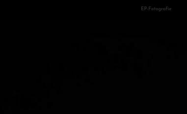 Schermafbeelding van ep-fotografie.nl