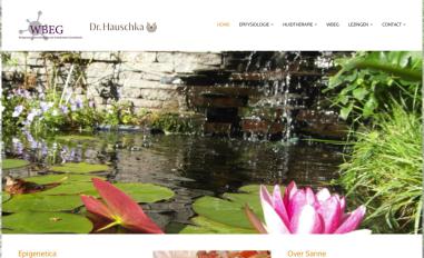 Schermafbeelding van epifysioloog-huid.nl