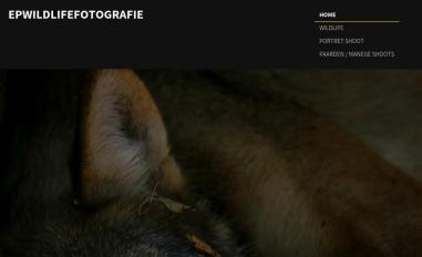 Schermafbeelding van epwildlifefotografie.nl