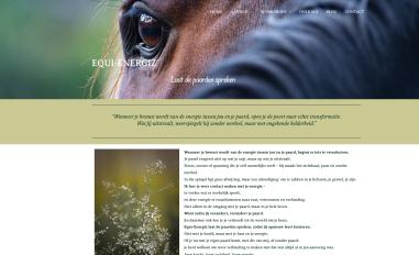 Schermafbeelding van equi-energiz.nl