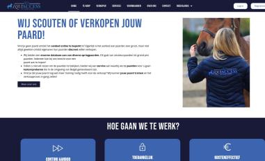 Schermafbeelding van equiaccess.be