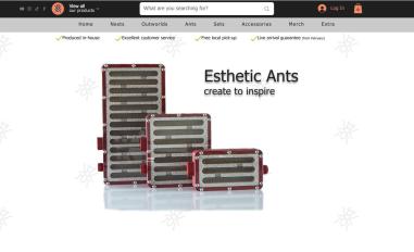 Schermafbeelding van estheticants.com