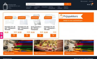 Schermafbeelding van evershineshop.nl