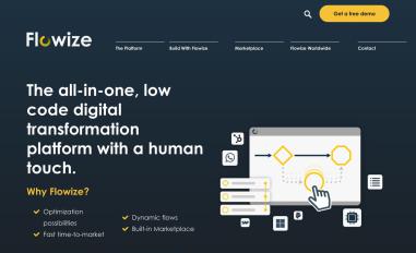 Schermafbeelding van flowize.com