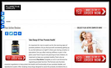 Schermafbeelding van fluxactivereview.com