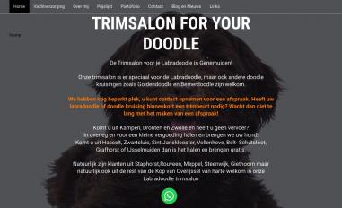 Schermafbeelding van foryourdoodle.nl