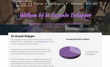 Schermafbeelding van gezondebekapper.nl