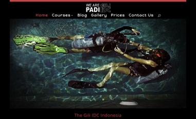 Schermafbeelding van giliidc.com