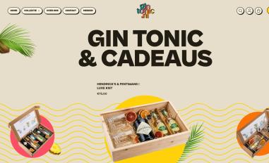 Schermafbeelding van gintonic.nl