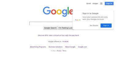 Schermafbeelding van google.hr