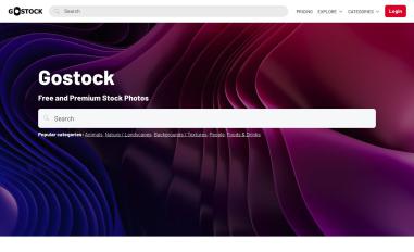 Schermafbeelding van gostockscript.com
