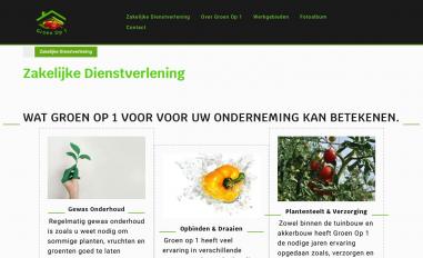 Schermafbeelding van groenop1.com