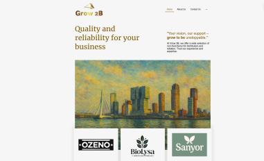 Schermafbeelding van grow2b.nl