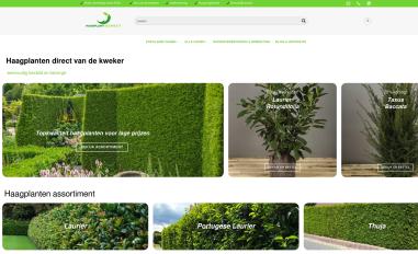 Schermafbeelding van haagplantdirect.nl