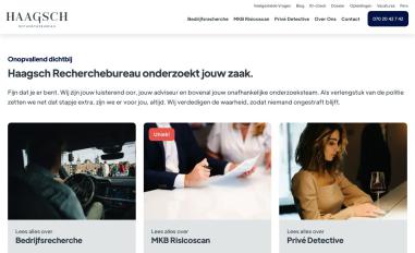 Schermafbeelding van haagschrecherchebureau.nl