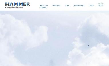 Schermafbeelding van hammer-intel.com