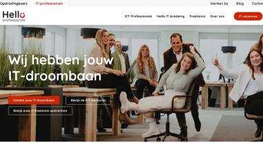 Schermafbeelding van hello-professionals.nl