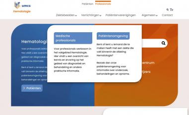Schermafbeelding van hematologiegroningen.nl