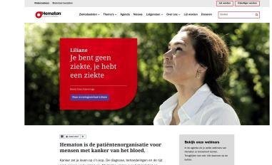 Schermafbeelding van hematon.nl