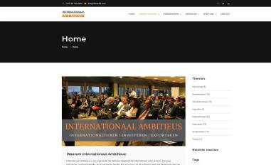 Schermafbeelding van internationaalambitieus.com