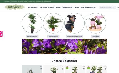 Schermafbeelding van introgreen.de
