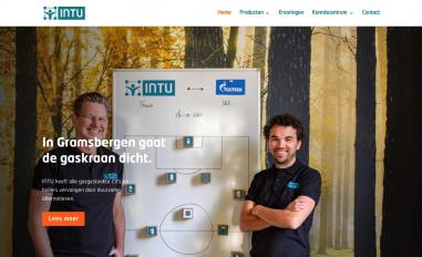 Schermafbeelding van intu.nl