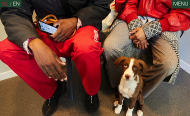 Schermafbeelding van jhdierenklinieken.nl