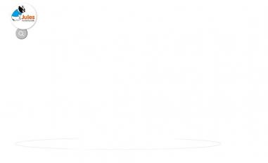 Schermafbeelding van juleshondenboetiek.nl